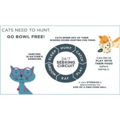 Doc & Phoebe's Cat Co. The Hunting Snacker Interactive Cat Treat Toy, Blue -Pawfect Care 279341 PT5. AC SS1800 V1617400689