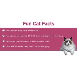 Doc & Phoebe's Cat Co. The Hunting Snacker Interactive Cat Treat Toy, Blue -Pawfect Care 279341 PT8. AC SS1800 V1617399710