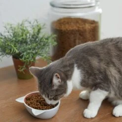 Disney Aristocats Marie Non-skid Ceramic Cat Bowl -Pawfect Care 280578 PT3. AC SS1800 V1629986677