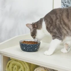 STAR WARS Navy Constellations No-Skid Ceramic Cat Bowl -Pawfect Care 280656 PT3. AC SS1800 V1629986532