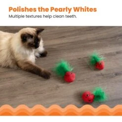 Catstages Straw-Babies Catnip Dental Cat Toy, 3 Count 12 Catstages Straw-Babies Catnip Dental Cat Toy, 3 Count -Pawfect Care 282256 PT3. AC SS1800 V1631687810