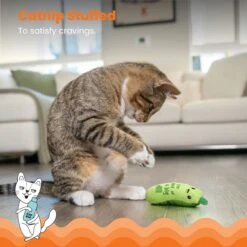 Catstages Crunchy Pickle Kicker Plush Cat Toy With Catnip -Pawfect Care 282267 PT2. AC SS1800 V1636502585
