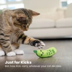 Catstages Crunchy Pickle Kicker Plush Cat Toy With Catnip -Pawfect Care 282267 PT5. AC SS1800 V1682521227