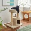 Frisco 27-in Real Carpet Cat Tree With Condo And Oval Perch -Pawfect Care 282747 MAIN. AC SS1800 V1621949056