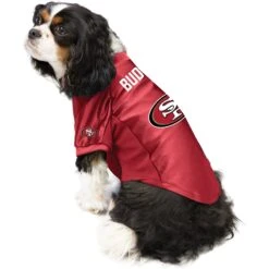 Littlearth NFL Personalized Stretch Dog & Cat Jersey -Pawfect Care 283735 PT2. AC SS1800 V1619404039