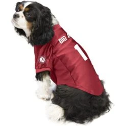 Littlearth NCAA Stretch Dog & Cat Jersey, Alabama Crimson Tide -Pawfect Care 283994 PT2. AC SS1800 V1619409451