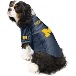 Littlearth NCAA Stretch Dog & Cat Jersey, Michigan Wolverines -Pawfect Care 284070 PT2. AC SS1800 V1619542940