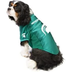 Littlearth NCAA Stretch Dog & Cat Jersey, Michigan State Spartans -Pawfect Care 284096 PT2. AC SS1800 V1619541731