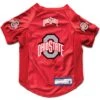 Littlearth NCAA Stretch Dog & Cat Jersey, Ohio State Buckeyes -Pawfect Care 284138 MAIN. AC SS1800 V1619492234