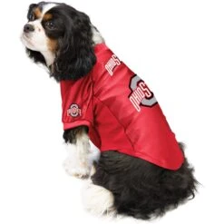 Littlearth NCAA Stretch Dog & Cat Jersey, Ohio State Buckeyes -Pawfect Care 284138 PT2. AC SS1800 V1619492292