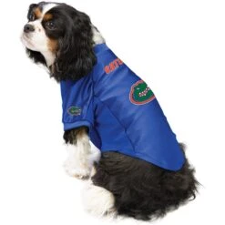 Littlearth NCAA Stretch Dog & Cat Jersey, Florida Gators -Pawfect Care 284157 PT2. AC SS1800 V1619598759
