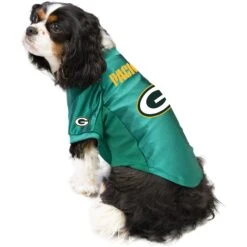 Littlearth NFL Stretch Dog & Cat Jersey, Green Bay Packers -Pawfect Care 284210 PT2. AC SS1800 V1619593640
