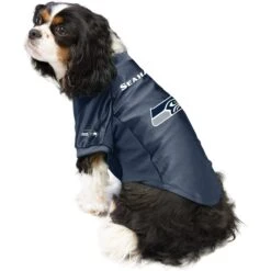 Littlearth NFL Stretch Dog & Cat Jersey, Seattle Seahawks -Pawfect Care 284222 PT2. AC SS1800 V1619563031