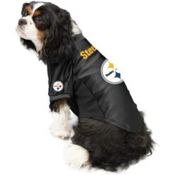 Littlearth NFL Stretch Dog & Cat Jersey, Pittsburgh Steelers -Pawfect Care 284254 PT2. AC SS1800 V1619593022