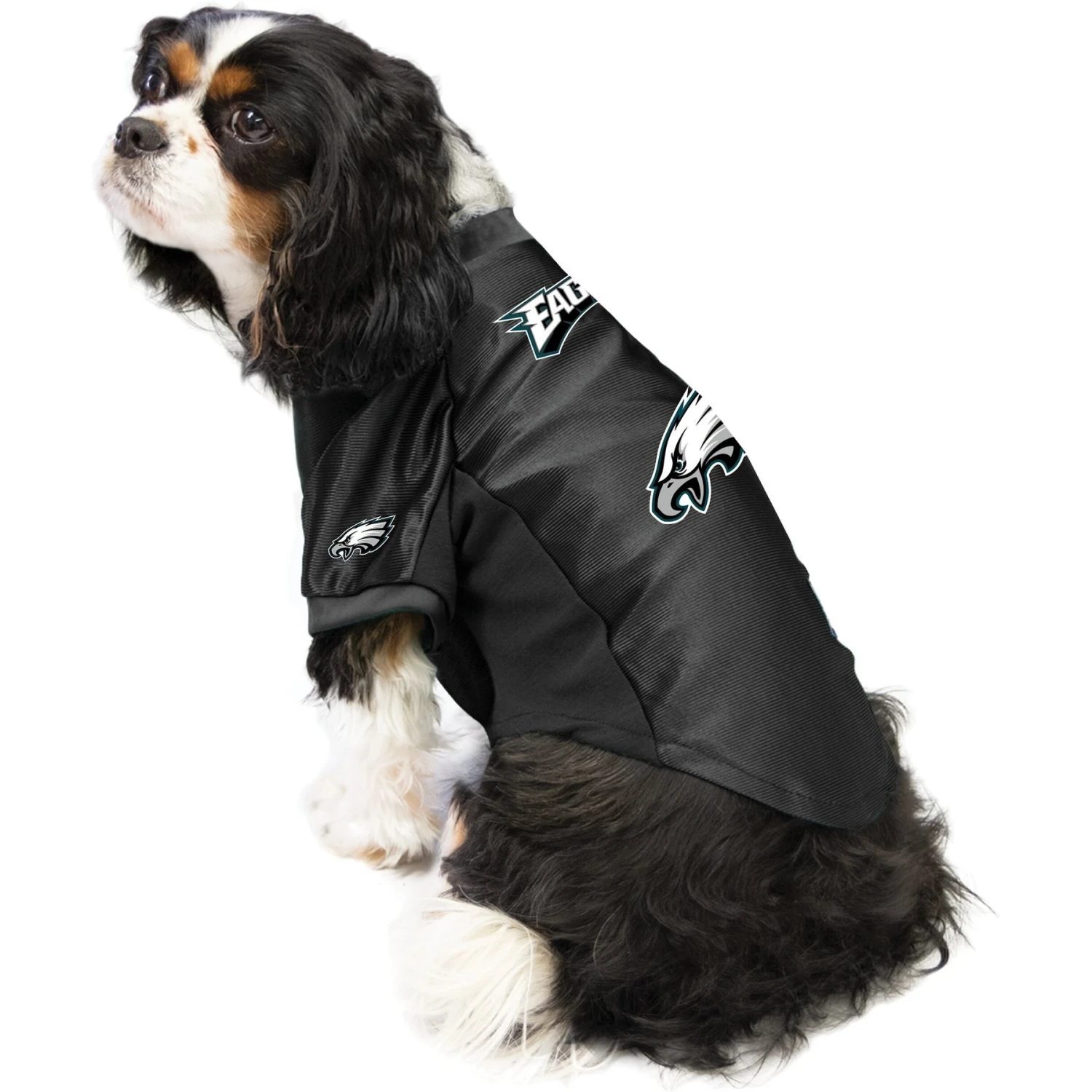 Littlearth NFL Stretch Dog & Cat Jersey, Philadelphia Eagles 5 Littlearth NFL Stretch Dog & Cat Jersey, Philadelphia Eagles - Image 3