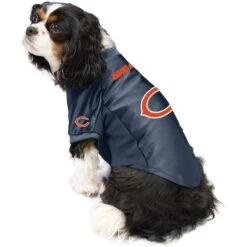 Littlearth NFL Stretch Dog & Cat Jersey, Chicago Bears -Pawfect Care 284318 PT2. AC SS1800 V1619579255