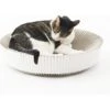 Katris Pre-Assembled Nest Scratcher Lounge Cat Bed -Pawfect Care 285031 MAIN. AC SS1800 V1632956497