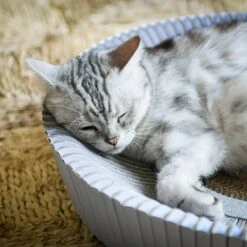 Katris Pre-Assembled Nest Scratcher Lounge Cat Bed -Pawfect Care 285031 PT3. AC SS1800 V1632953199