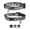 Buckle-Down Personalized Breakaway Cat Collar With Bell -Pawfect Care 285761 MAIN. AC SS1800 V1621003055