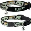 Buckle-Down Star Wars The Child Personalized Breakaway Cat Collar With Bell -Pawfect Care 285776 MAIN. AC SS1800 V1619741241