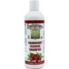 Envirogroom Cranberry Essence 50:1 Dog & Cat Shampoo, 17-oz Bottle -Pawfect Care 286408 MAIN. AC SS1800 V1619793728