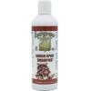 Envirogroom Ginger Spice 50:1 Dog & Cat Shampoo, 17-oz Bottle -Pawfect Care 286418 MAIN. AC SS1800 V1619793453