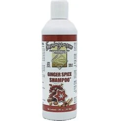 Envirogroom Ginger Spice 50:1 Dog & Cat Shampoo, 17-oz Bottle