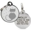 Frisco Starry Moon Crystal Cat Personalized Cat ID Tag -Pawfect Care 286963 MAIN. AC SS1800 V1618432341