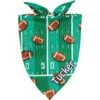 Frisco Football Personalized Dog & Cat Bandana -Pawfect Care 287044 MAIN. AC SS1800 V1623245879