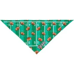 Frisco Football Personalized Dog & Cat Bandana -Pawfect Care 287044 PT3. AC SS1800 V1623246175