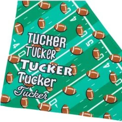 Frisco Football Personalized Dog & Cat Bandana -Pawfect Care 287044 PT4. AC SS1800 V1623246178