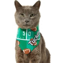 Frisco Football Personalized Dog & Cat Bandana -Pawfect Care 287044 PT7. AC SS1800 V1623246789