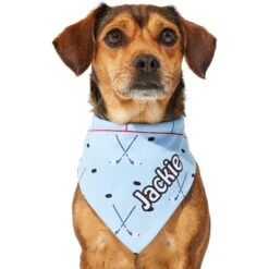 Frisco Ice Hockey Personalized Dog & Cat Bandana -Pawfect Care 287048 PT6. AC SS1800 V1623246568