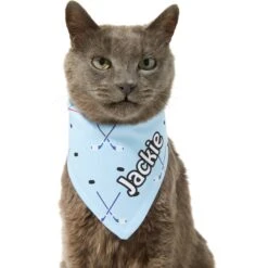Frisco Ice Hockey Personalized Dog & Cat Bandana -Pawfect Care 287048 PT7. AC SS1800 V1623246478