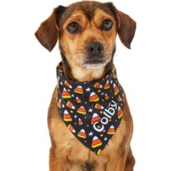 Frisco Candy Corn Personalized Dog & Cat Bandana -Pawfect Care 287056 PT6. AC SS1800 V1623246504