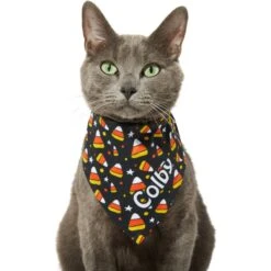 Frisco Candy Corn Personalized Dog & Cat Bandana -Pawfect Care 287056 PT7. AC SS1800 V1623246828