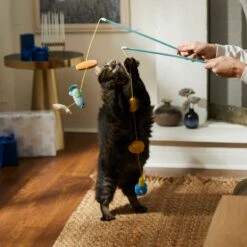 Frisco Holiday Hanukkah Teaser Cat Toy With Catnip, 2 Count -Pawfect Care 287277 PT3. AC SS1800 V1632771712