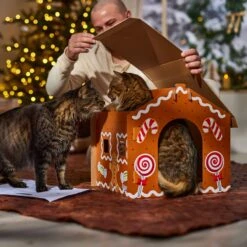 Frisco Holiday Gingerbread House Cardboard Cat House Cat Toy -Pawfect Care 287289 PT3. AC SS1800 V1695046487