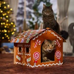 Frisco Holiday Gingerbread House Cardboard Cat House Cat Toy -Pawfect Care 287289 PT4. AC SS1800 V1694813217