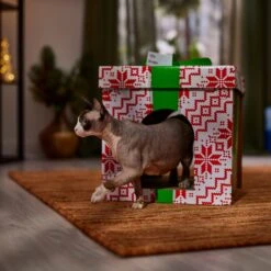 Frisco Holiday Gift Box Cardboard Cat House -Pawfect Care 287291 PT4. AC SS1800 V1695045716