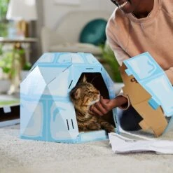 Frisco Igloo Cardboard Cat House -Pawfect Care 287293 PT3. AC SS1800 V1692035199