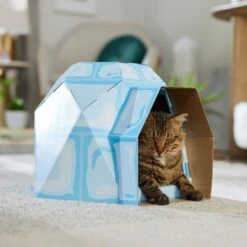 Frisco Igloo Cardboard Cat House -Pawfect Care 287293 PT4. AC SS1800 V1692035193