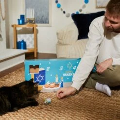 Frisco Holiday 8 Days Of Hanukkah Cardboard Calendar With Toys For Cats -Pawfect Care 287301 PT4. AC SS1800 V1689793188