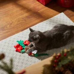 Frisco Flower Bouquet Plush Cat Toy With Catnip -Pawfect Care 287395 PT3. AC SS1800 V1632774747