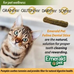 Emerald Pet Feline Dental Stixx With Chicken & Pumpkin Grain-Free Dental Cat Treats, 3.6-oz Bag -Pawfect Care 288273 PT6. AC SS1800 V1667598684