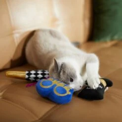 Frisco New Years Necessities Plush Cat Toy With Catnip -Pawfect Care 288472 PT3. AC SS1800 V1638288786