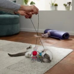 Frisco New Year, New Me Gym Bouncy Mice Plush Cat Toy With Catnip -Pawfect Care 288949 PT3. AC SS1800 V1638289802