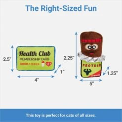 Frisco Protein Bar & Gym Membership Plush Cat Toy With Catnip -Pawfect Care 288951 PT1. AC SS1800 V1640722894