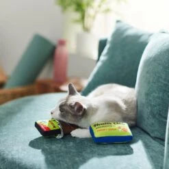 Frisco Protein Bar & Gym Membership Plush Cat Toy With Catnip -Pawfect Care 288951 PT3. AC SS1800 V1638290814