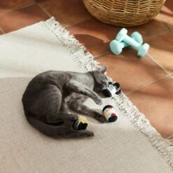 Frisco Pre-Workout & Protein Plush Cat Toy With Catnip, 3 Count -Pawfect Care 288953 PT3. AC SS1800 V1638287817